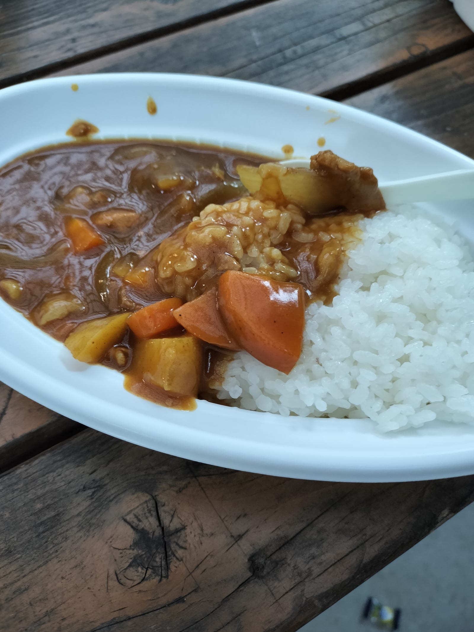 炊きあがったごはんとカレー