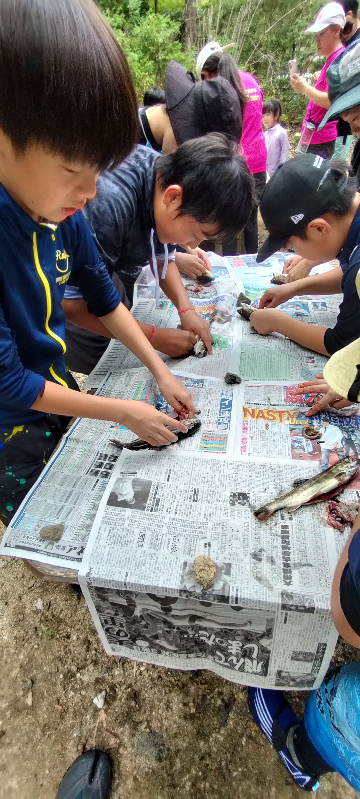 新聞紙の上で内臓の処理に挑戦