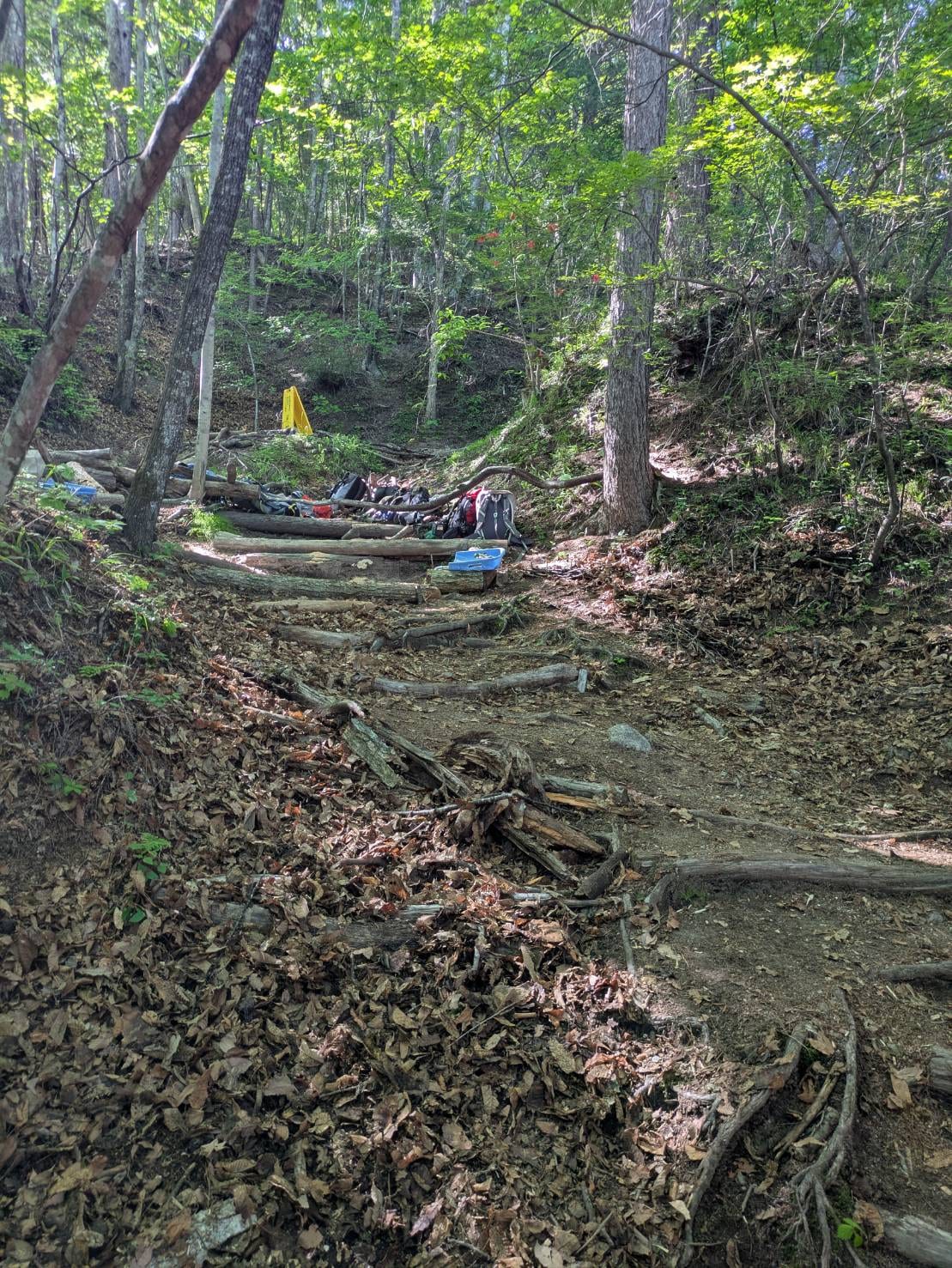 整備後の登山道