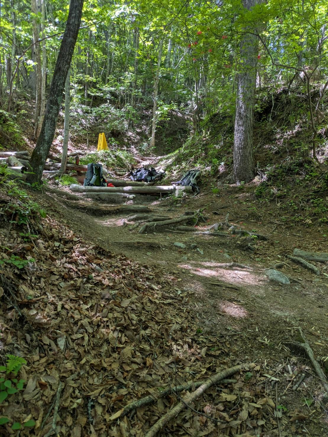 整備前の登山道